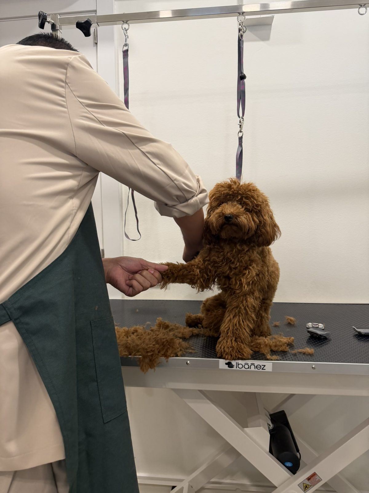 Corte a tijera de estilismo en Fochiko
